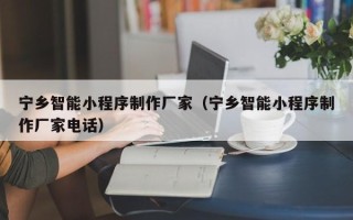 福建宁乡智能小程序制作厂家（宁乡智能小程序制作厂家电话）