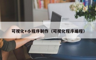 福建可视化+小程序制作（可视化程序编程）